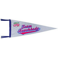 Sublimation Small Wall Pennant